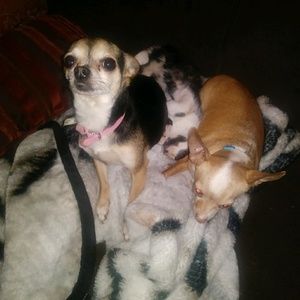 Meet your Posher, Kayla